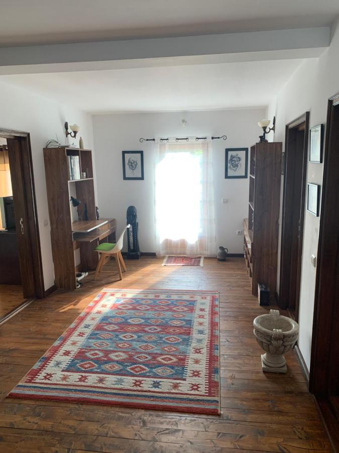 Casa Romana Ieşelniţa Екстериор снимка